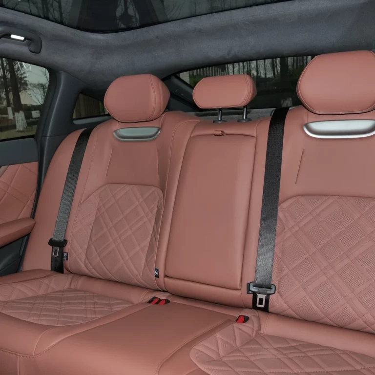 Changan Nevo A07 back seats