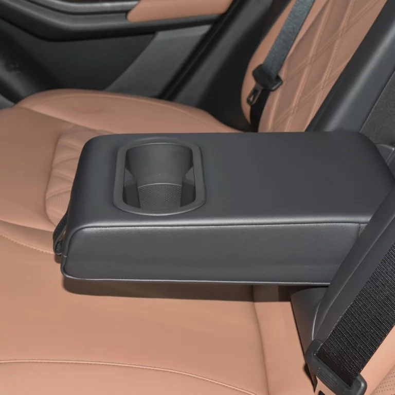 Changan Nevo Q05 back seats cup holder