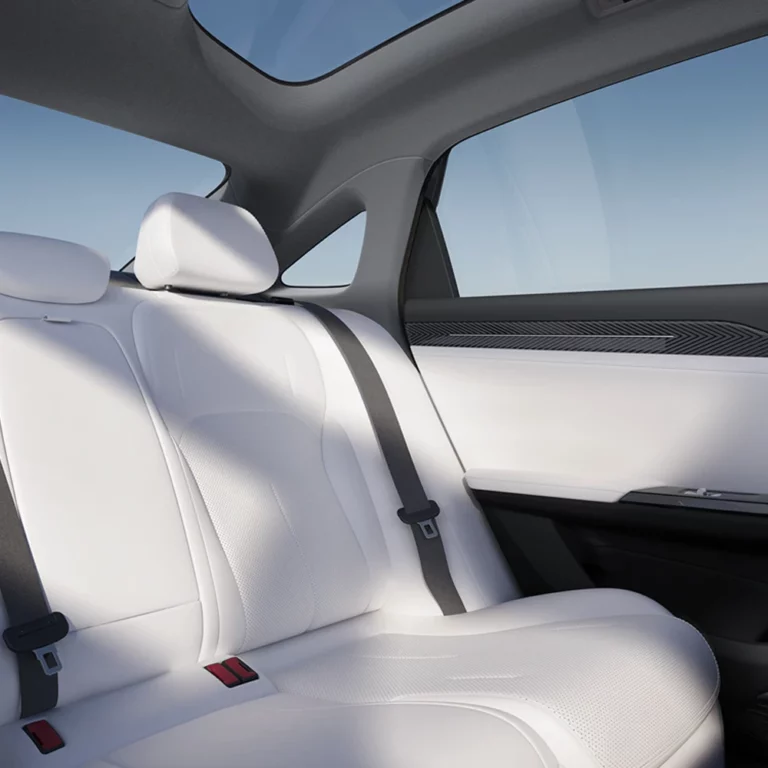 Galaxy L6 back seats
