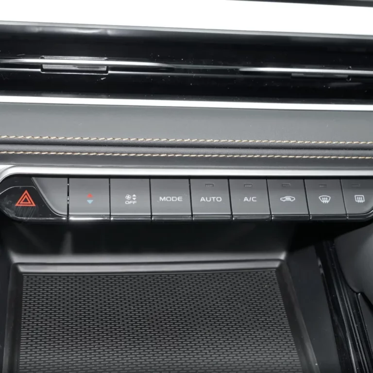 Geely Monjaro control button