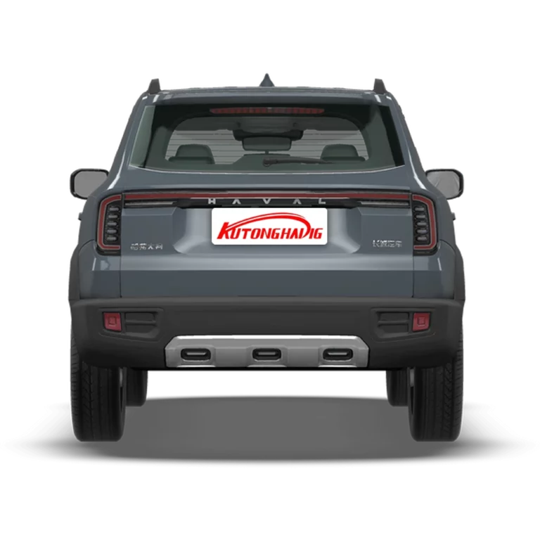 Haval Dargo back