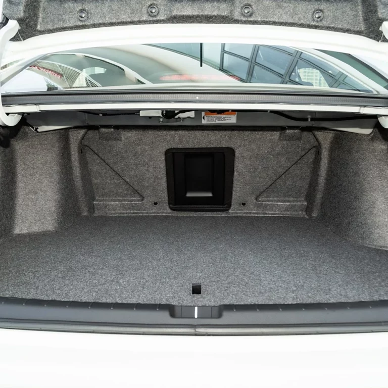 Honda Crider trunk