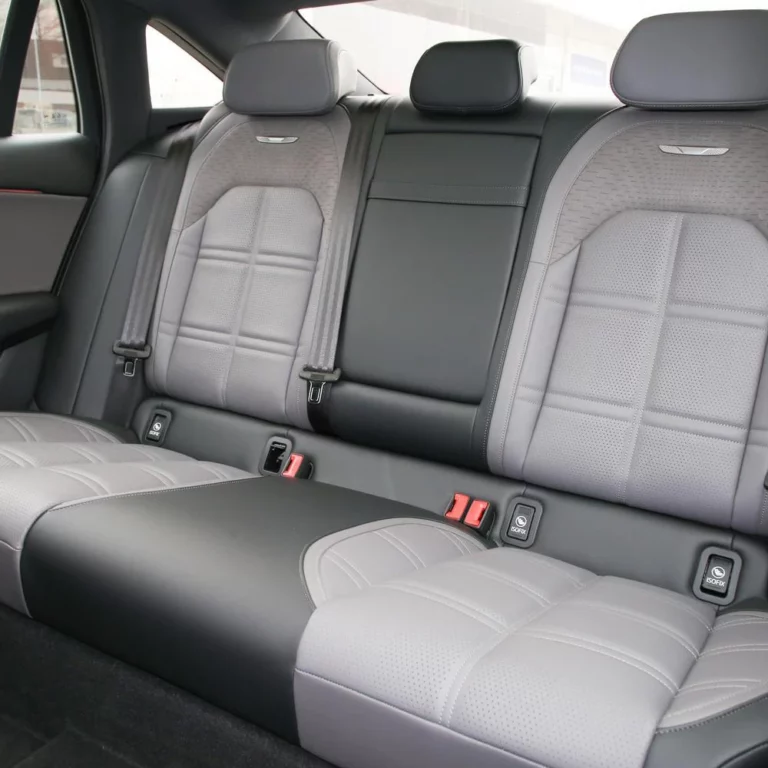 Hongqi EH7 back seats