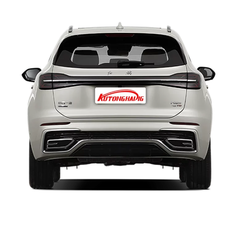 Hongqi HS5 back