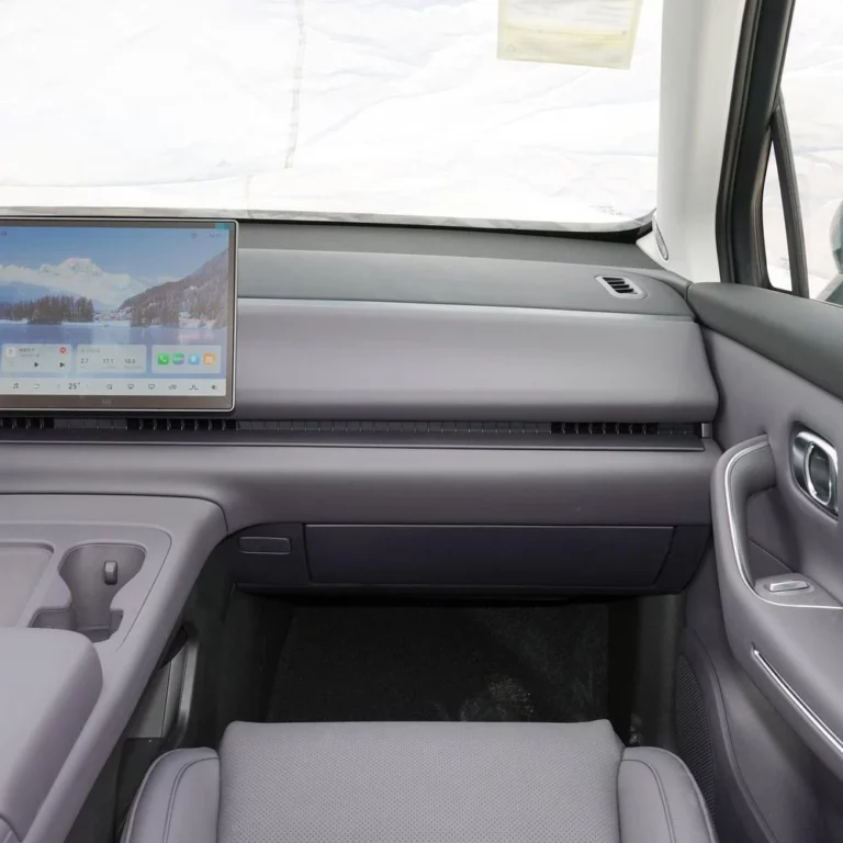 Leapmotor C10 passenger view