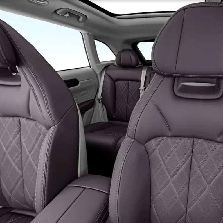 Leapmotor C11 seats view