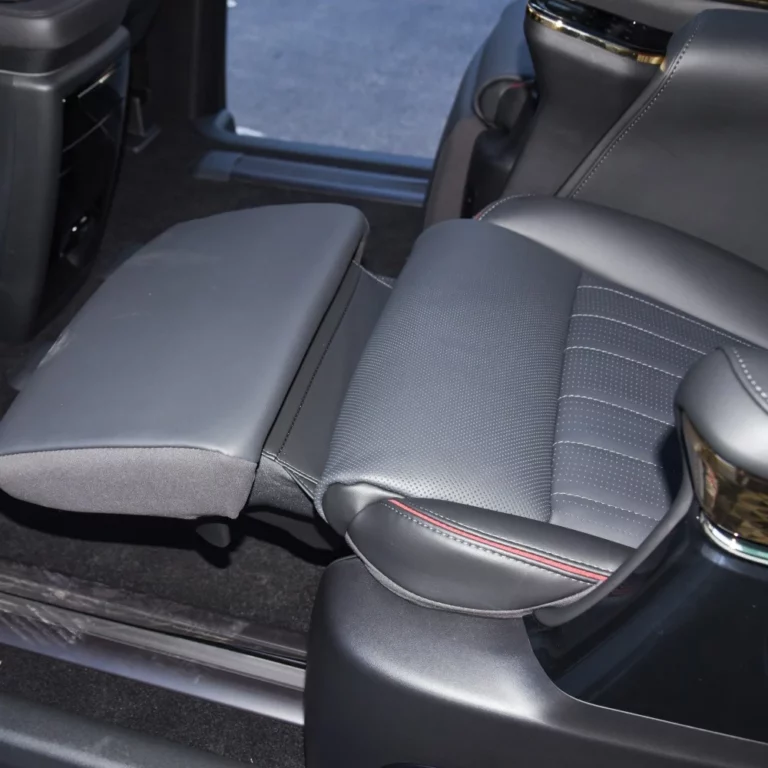 Trumpchi E9 seats leg rest
