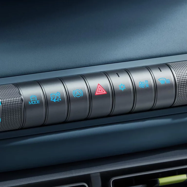 byd Seagull control panel