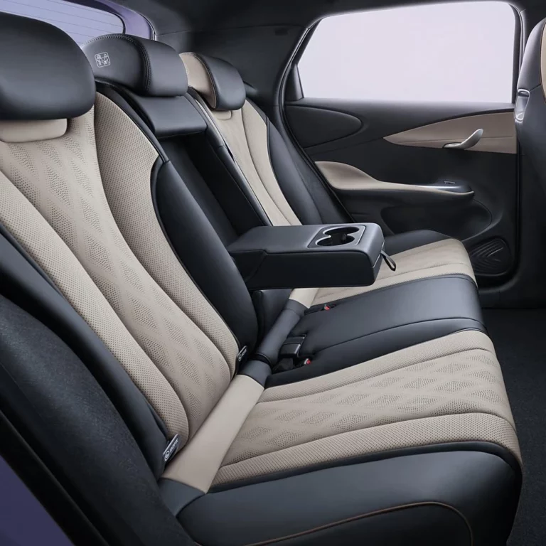 byd dolphin back seat