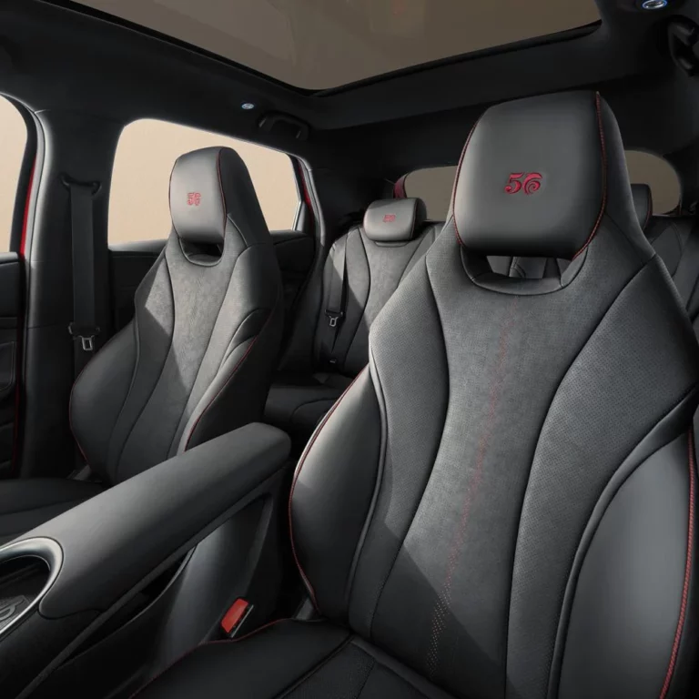 byd dolphin front seat