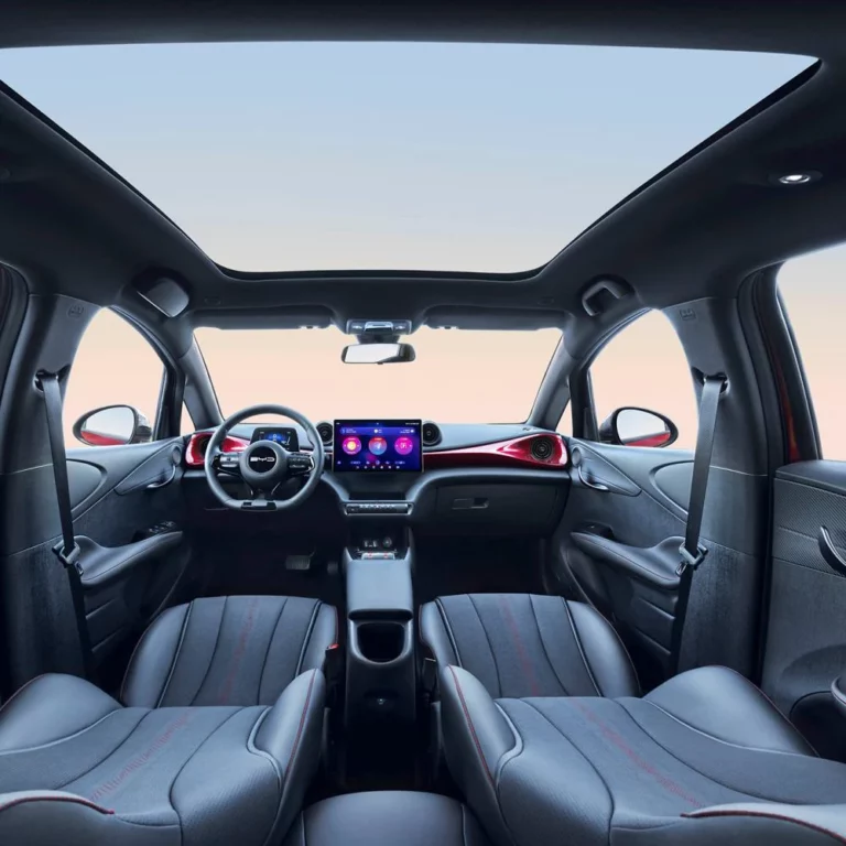 byd dolphin inner view