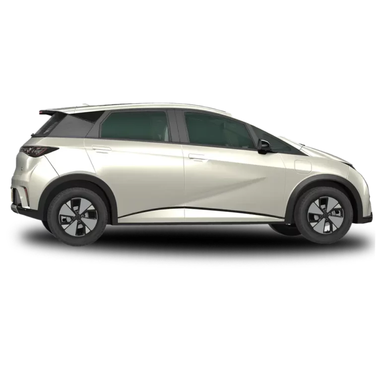 byd dolphin right